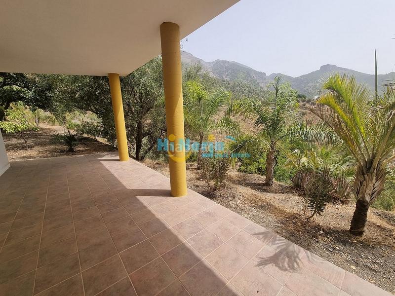 Foto 4aeedaae-4a35-43ea-a286-c5f7cdc1d3e9. Casa  de campo 3 dormitorios con parcela de 3242 m2 y vista despejada a la montaña en Canillas de Aceituno