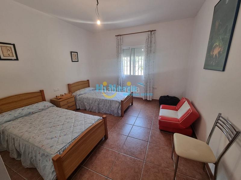 Foto c33d441d-b832-4b20-8d66-3d7eb1fdf0d7. Casa  de campo 3 dormitorios con parcela de 3242 m2 y vista despejada a la montaña en Canillas de Aceituno