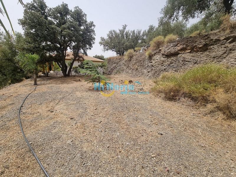 Foto d7dc2106-439f-4519-aa97-fa944fbd1c1c. Casa  de campo 3 dormitorios con parcela de 3242 m2 y vista despejada a la montaña en Canillas de Aceituno