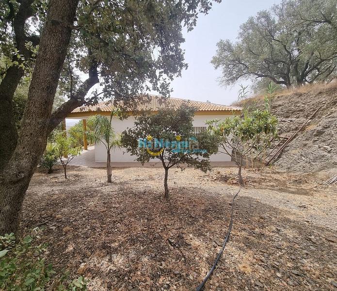 Foto f902ad43-72c5-4798-b51c-849dd32e4017. Casa  de campo 3 dormitorios con parcela de 3242 m2 y vista despejada a la montaña en Canillas de Aceituno