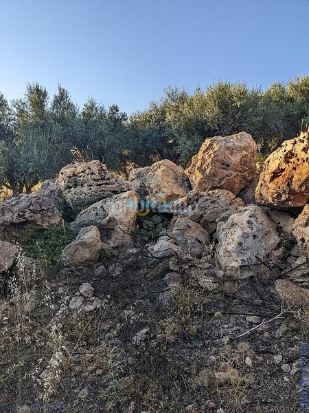 Foto 27a2675b-a93d-4d8e-b89d-2e6eb74df408. Terreny residencial a Periana