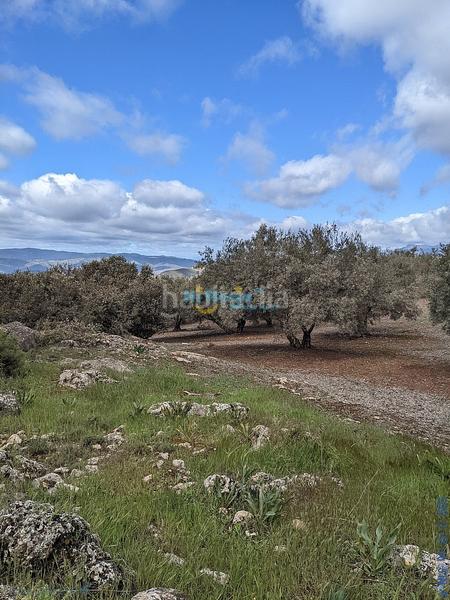 Foto 55af7f57-730c-44a2-9ad5-faca3570a771. Terreny residencial a Periana