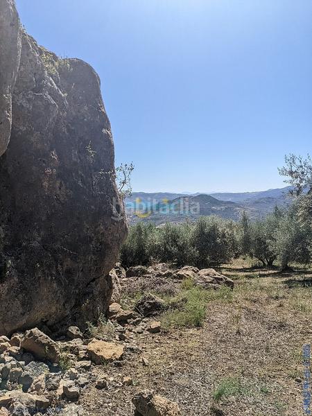 Foto 6726af32-97fb-41ec-bd01-c2568c8d7655. Terreny residencial a Periana