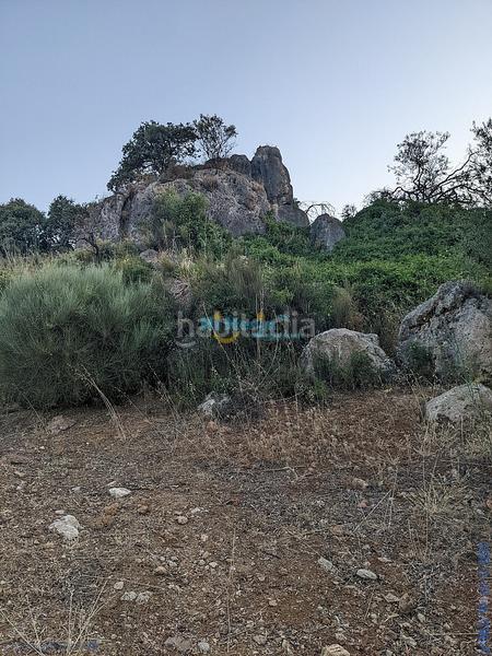 Foto 72638ae1-7297-4d48-bd31-4aeb533f9e09. Terreny residencial a Periana