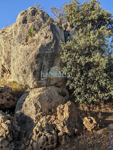 Foto 770b4c51-c802-4c94-959d-6392a4cdf071. Terreny residencial a Periana