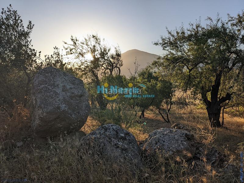 Foto 7cf61585-db67-40e7-b0f0-e79b463d2d24. Terreny residencial a Periana