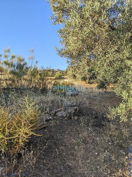 Foto 8695efaf-2ea8-4c66-8410-b0ec5d6900f5. Terreny residencial a Periana