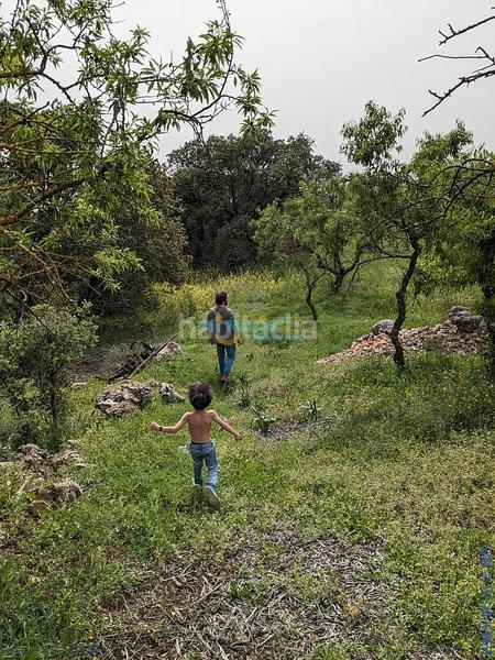 Foto 8722177c-5fbe-47ea-8083-d88be4eb5a2a. Terreny residencial a Periana