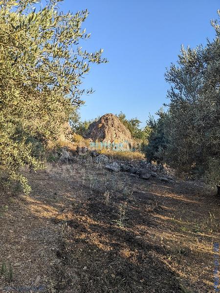 Foto 9faf0201-8a92-4a3d-b5b6-404023242643. Terreny residencial a Periana