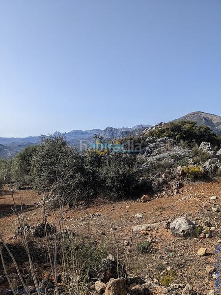 Foto a5c46062-60f0-4231-a3db-8a220aee6787. Terreny residencial a Periana