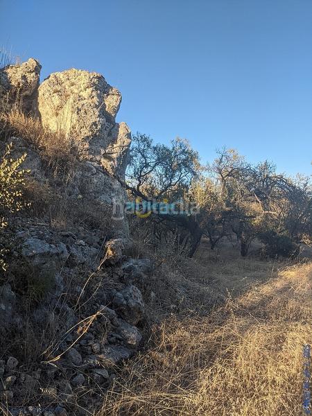 Foto cf3cfd2a-433f-42bc-9233-374c5fd2e0a4. Terreny residencial a Periana