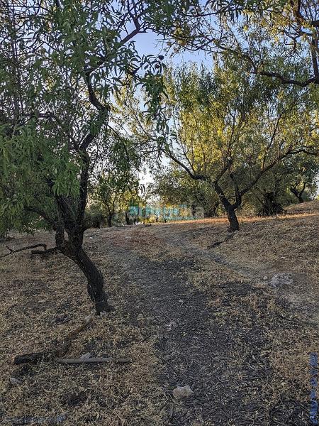 Foto cfb4266a-cc9f-4e23-bab5-cb2cc35ef5ec. Terreny residencial a Periana