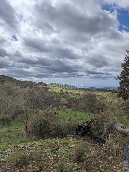 Foto d186fd60-38a5-44de-97be-a5cac8e32437. Terreny residencial a Periana