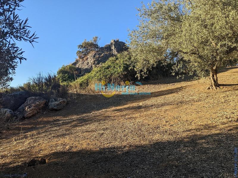 Foto ec22b21c-f861-42dd-b1a9-0d727ffa8bd0. Terreny residencial a Periana