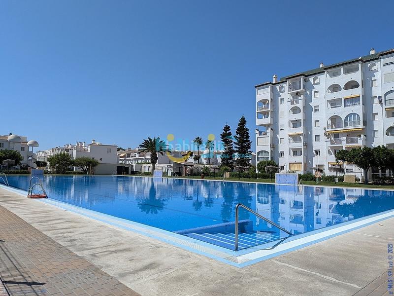 Foto be792e98-fce8-45e3-925d-a99a9fb456cd. Casa amb piscina a El Peñoncillo Torrox