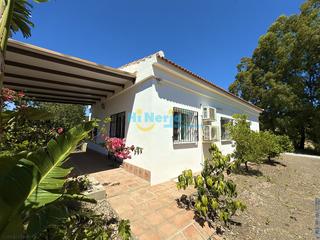 Mas à Camino Viejo de Málaga. Cortijo con finca en producción