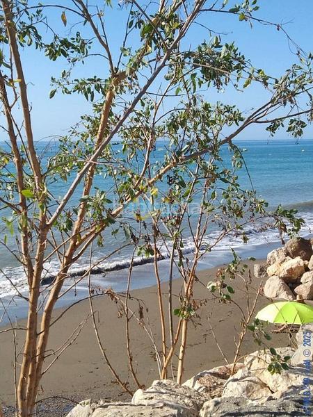 Foto 54dd8161-0a32-4f55-813f-826203ebc94f. House with heating parking pool in Chilches