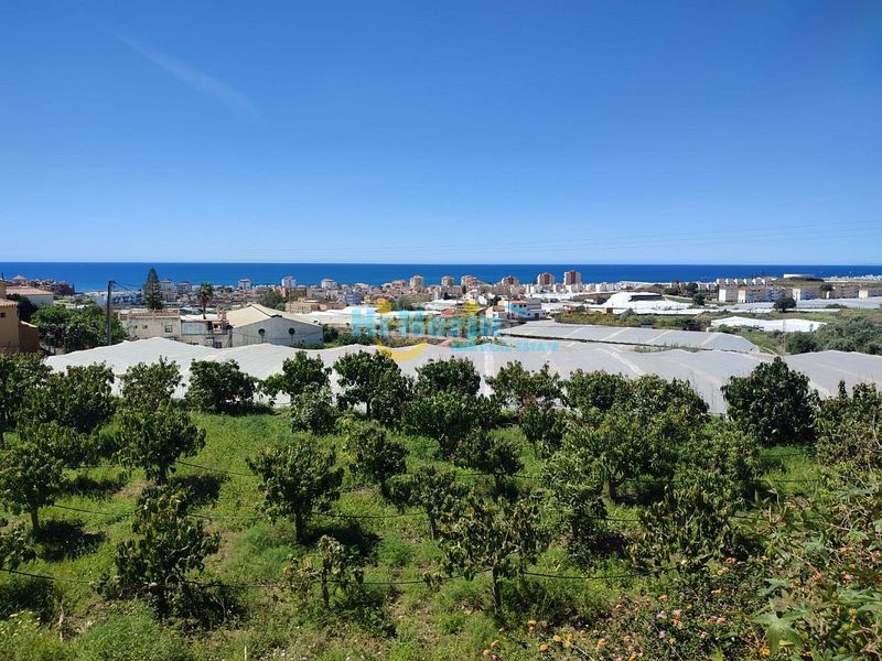 Foto 2655a1c0-79d0-4f78-ac71-4b74c4131113. Terreny residencial a El Peñoncillo Torrox
