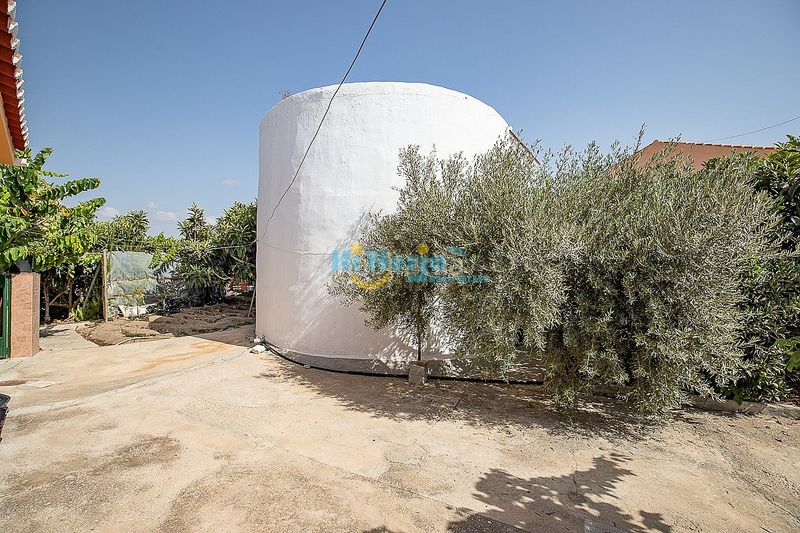 Foto b5db06bd-8968-46eb-bd3f-18a521ccb988. Casa amb aparcament a El Peñoncillo Torrox