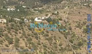 Terreny residencial a Canillas de Aceituno. Terreno rustico en canillas de aceituno