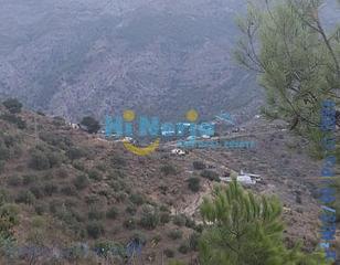 Terreny residencial a Canillas de Aceituno. Terreno rustico en canillas de aceituno
