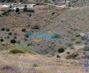 Terreny residencial a Canillas de Aceituno. Terreno rustico en canillas de aceituno.