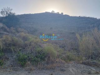 Terrain résidentiel à Torrox Pueblo. Parcela rustica de 3500 m2   torrox