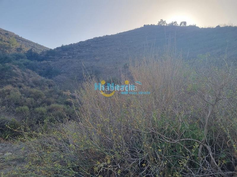 Foto b443804b-c34a-4d15-bc3b-5679c07ded1a. Terreno residencial parcela rustica de 3500 m2 en Torrox