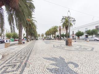 Casa a Olivenza. Casa 4 habitaciones venta olivenza