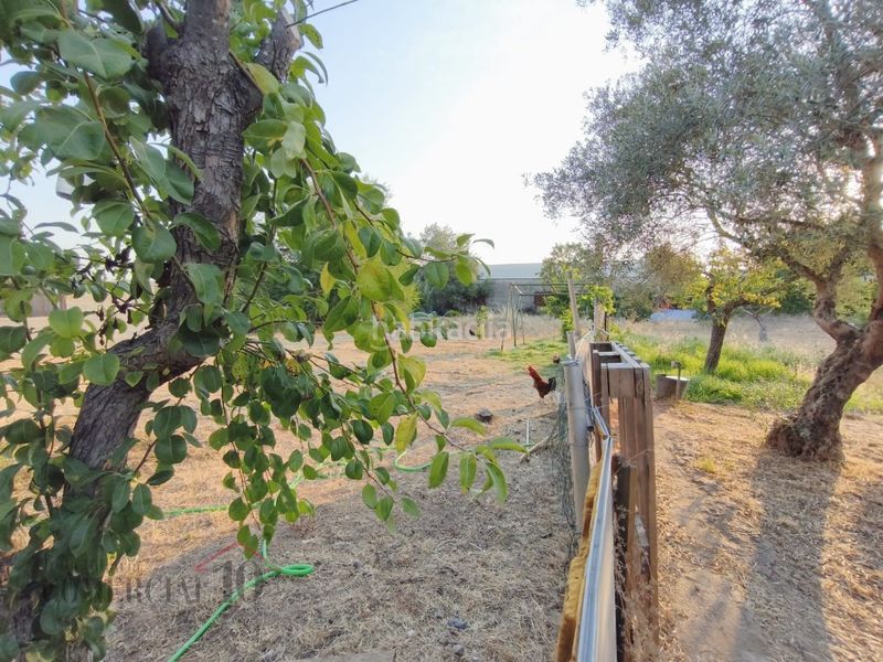 Foto 47e39982-d018-4416-9c3f-5b232765e124. Residential plot in Dehesilla de Calamón - Campomanes Badajoz