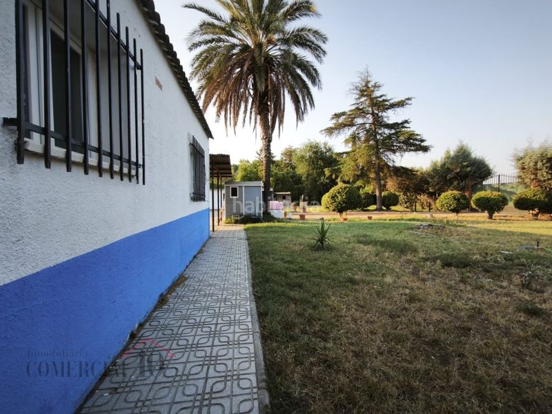 Foto 4fd3137c-70cd-46b8-90bd-0d878e7b769a. Residential plot in Dehesilla de Calamón - Campomanes Badajoz