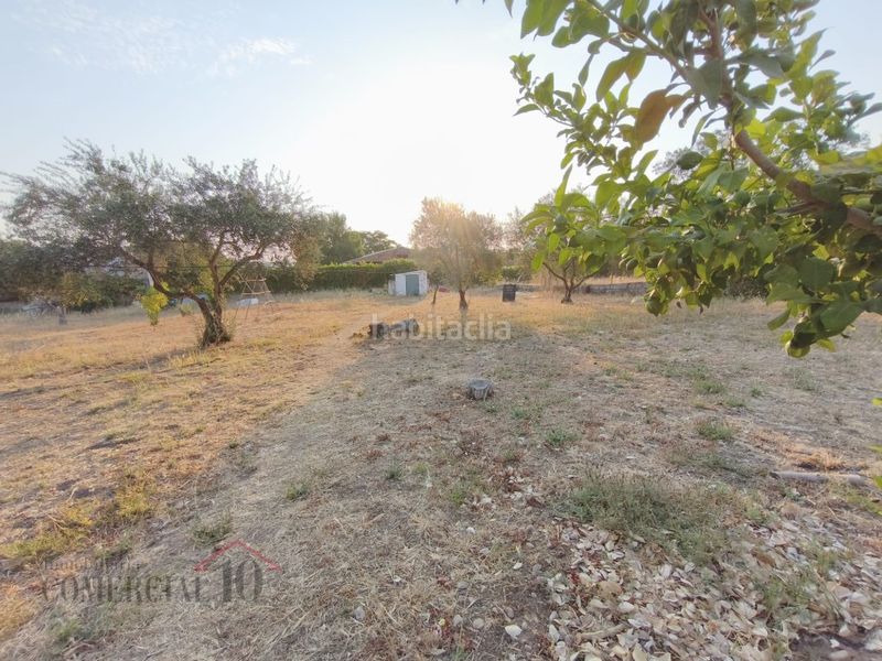 Foto b5ac3635-233d-4dff-a548-62e329741ea1. Residential plot in Dehesilla de Calamón - Campomanes Badajoz