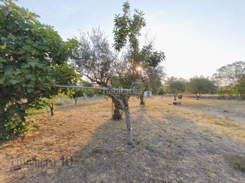 Foto da64eab4-0f6d-431c-a58f-1406cf98f100. Residential plot in Dehesilla de Calamón - Campomanes Badajoz
