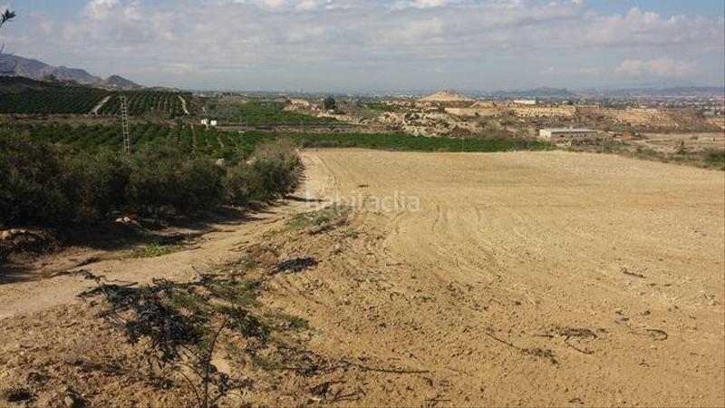 Foto 2521012d-9a3e-4a2a-85b3-40039e53b19a. Rural plot in Desamparados - Hurchillo - Torremendo Orihuela