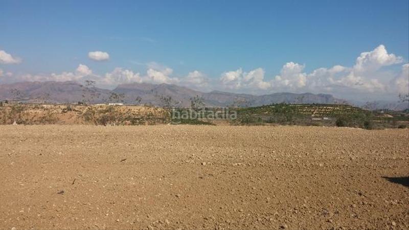 Foto 33095253-b115-48c2-a987-a35bf096ab26. Rural plot in Desamparados - Hurchillo - Torremendo Orihuela