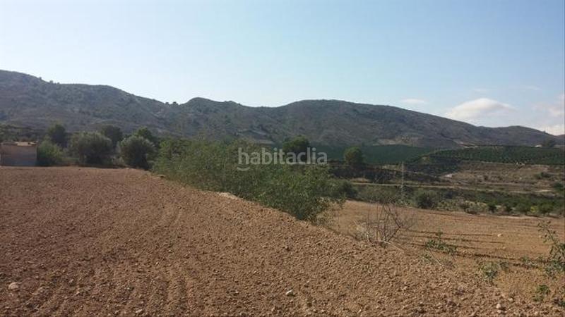 Foto 95aa4f8c-a657-4448-a38e-f578bc934384. Rural plot in Desamparados - Hurchillo - Torremendo Orihuela