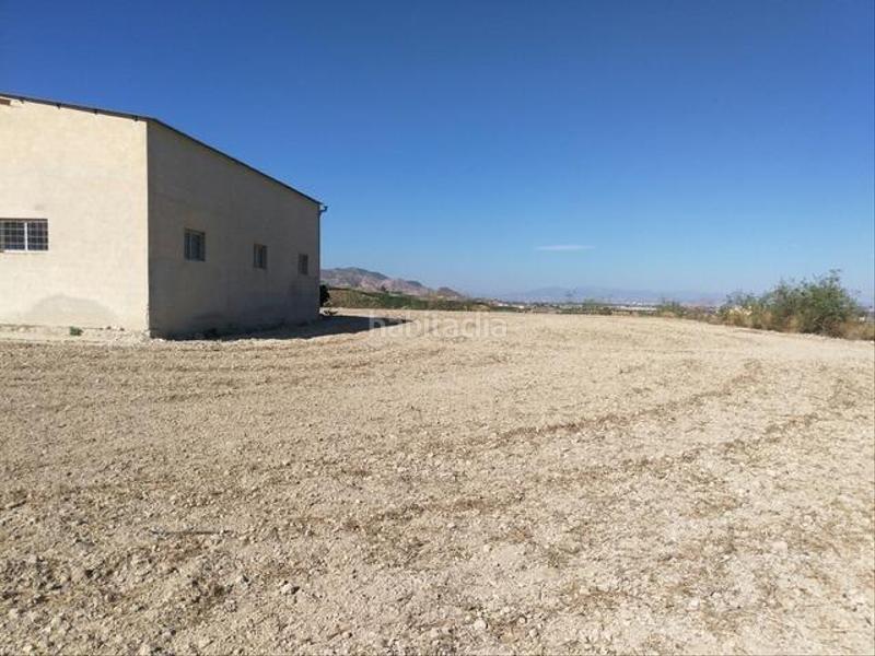Foto aceb8e39-d5b5-4a82-8445-f5aceecb3b12. Rural plot in Desamparados - Hurchillo - Torremendo Orihuela