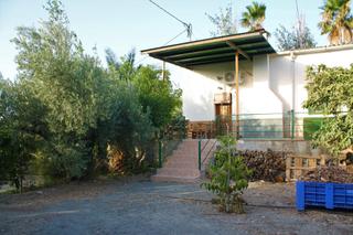 Masia a Cieza. Casanavepiscinaparcela en producción en el ginete