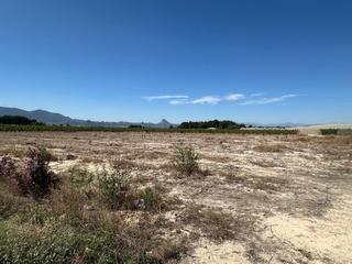 Terreny residencial a Cieza. Parcela en ascoy