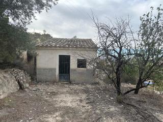 Casa en Cieza. Parcela con luz  caseta