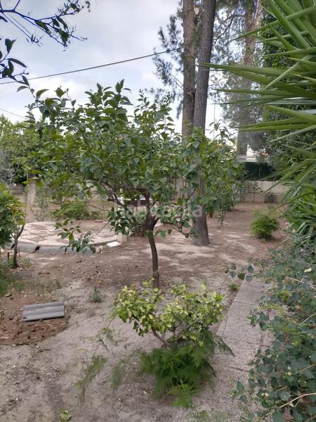 Foto cca1fbe1-4934-4c21-b8c1-82a5f97e173d. Haus in garcía rogel in Montepinar - La Aparecida - Raiguero Orihuela