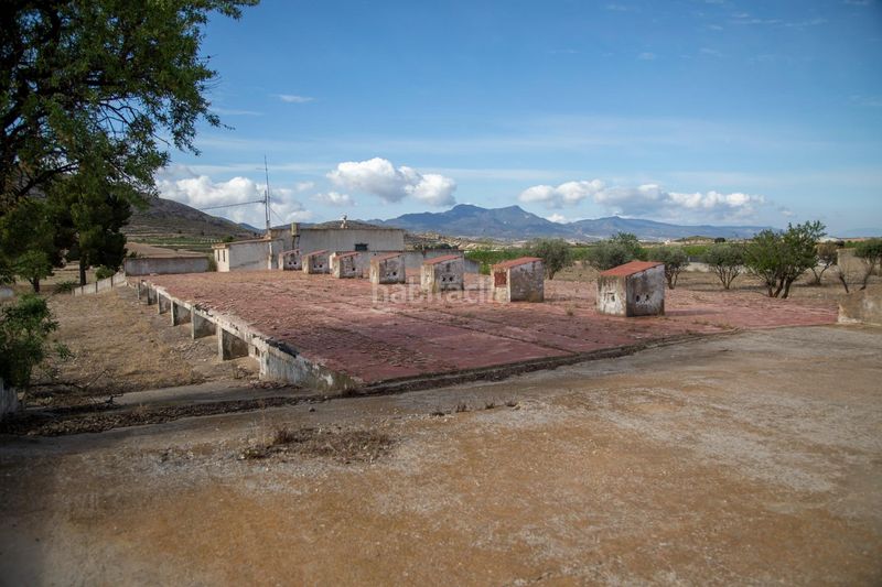 Foto 0c414c74-fa1f-4aef-8535-bf4813cc4813. Casa amb aparcament piscina a Pinoso