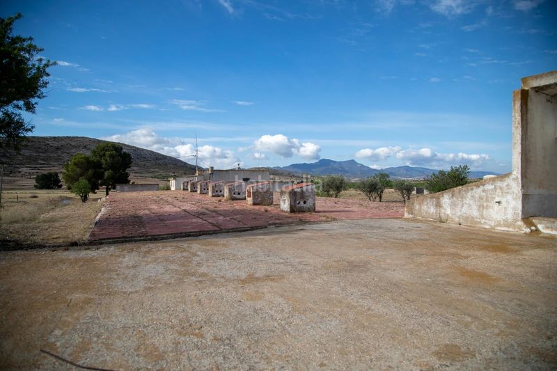 Foto 35833c07-9a56-44b7-909d-e63a5e4f96b7. Casa amb aparcament piscina a Pinoso