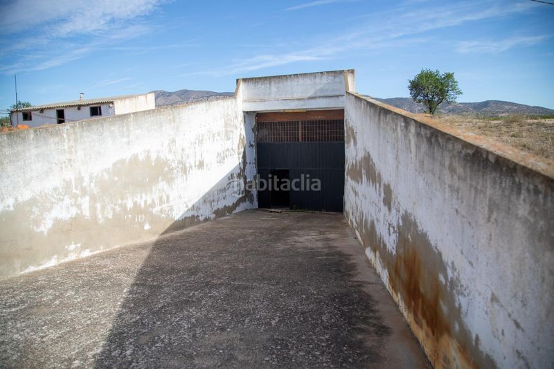 Foto 43cba874-5c29-44be-b27c-440ce3cb57e1. Casa amb aparcament piscina a Pinoso