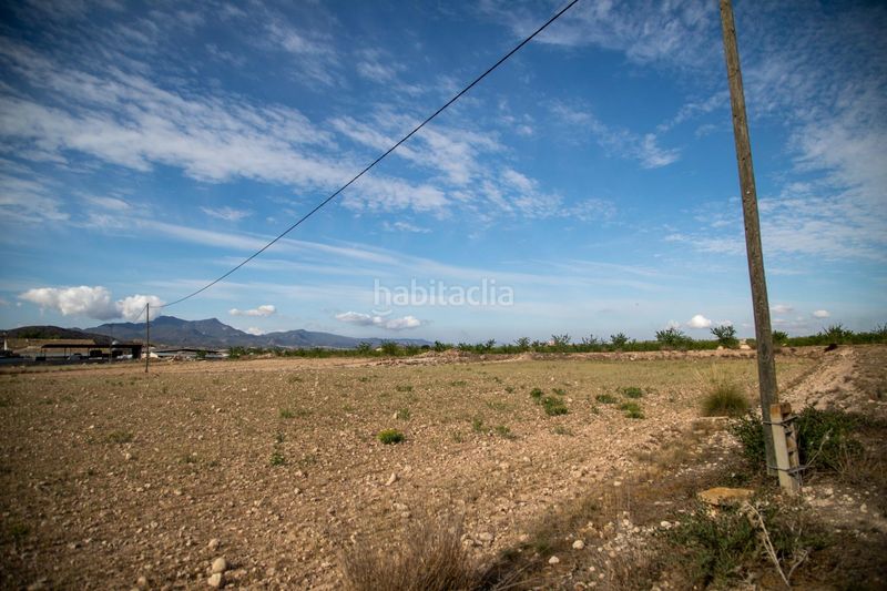 Foto 6f274aa3-5780-48ee-a855-416669e93116. Casa amb aparcament piscina a Pinoso