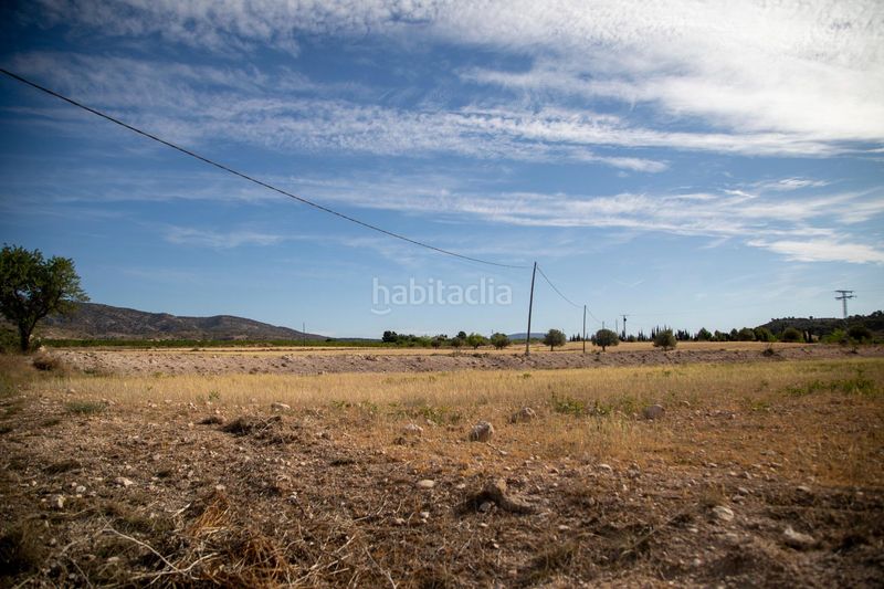 Foto e3a8ef4d-f190-4716-a026-74779a33c1d9. Casa amb aparcament piscina a Pinoso