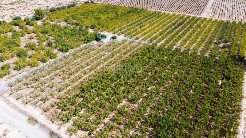 Foto 556f451e-7143-4d94-8b5f-0d182b440e3a. Propriété dans Cieza