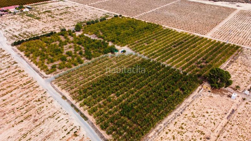 Foto a000dc88-04ab-4847-8527-abc7fb523b2b. Propriété dans Cieza