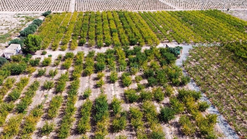 Foto a5c9e305-85d9-48b5-8b05-ece8aa8d4322. Propriété dans Cieza