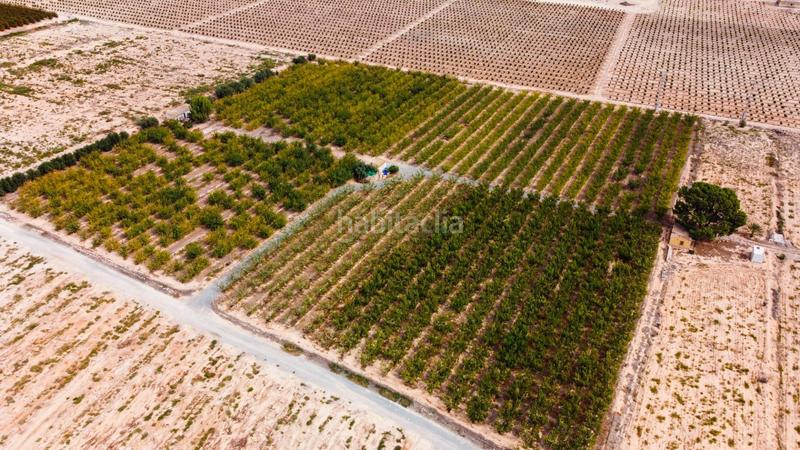 Foto b9c8138d-1b3b-4dd7-a3b4-39a6c491f1c8. Propriété dans Cieza